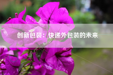 创新包装：快递外包装的未来