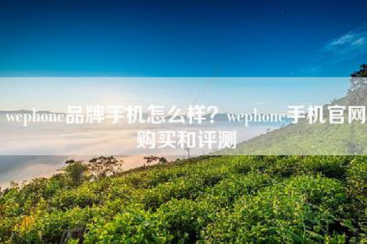 wephone品牌手机怎么样？wephone手机官网购买和评测