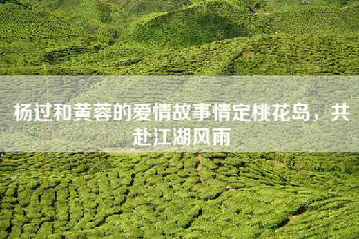 杨过和黄蓉的爱情故事情定桃花岛，共赴江湖风雨