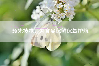 领先技术，为食品保鲜保驾护航