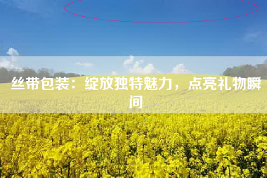 丝带包装：绽放独特魅力，点亮礼物瞬间