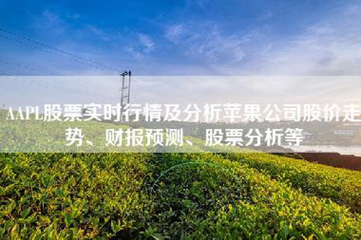 AAPL股票实时行情及分析苹果公司股价走势、财报预测、股票分析等