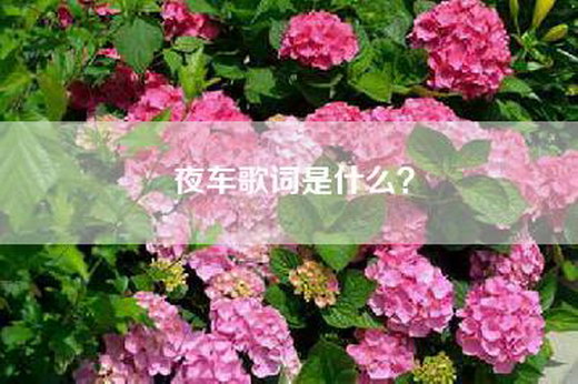 夜车歌词是什么？