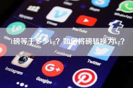 1磅等于多少kg？如何将磅转换为kg？