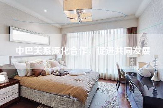 中巴关系深化合作，促进共同发展