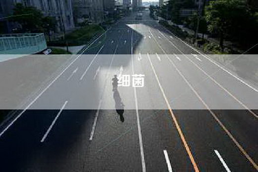 细菌