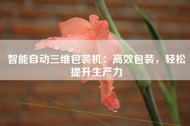 智能自动三维包装机：高效包装，轻松提升生产力
