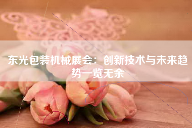东光包装机械展会：创新技术与未来趋势一览无余