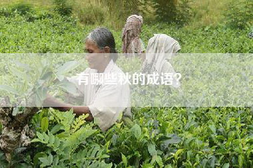 有哪些秋的成语？