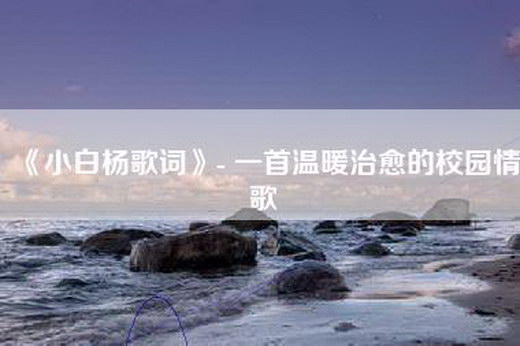 《小白杨歌词》- 一首温暖治愈的校园情歌