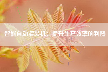 智能自动灌装机：提升生产效率的利器