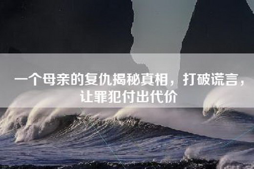 一个母亲的复仇揭秘真相，打破谎言，让罪犯付出代价