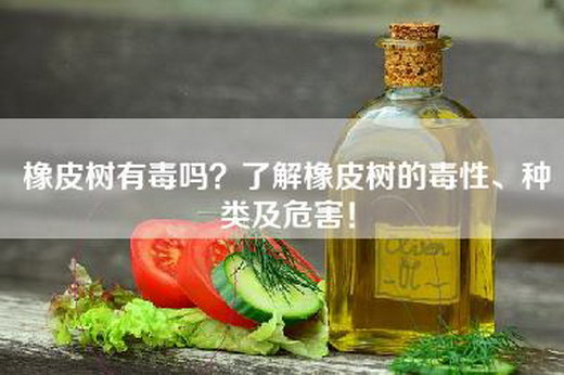 橡皮树有毒吗？了解橡皮树的毒性、种类及危害！