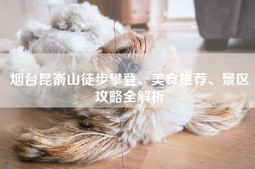 烟台昆嵛山徒步攀登、美食推荐、景区攻略全解析