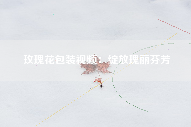 玫瑰花包装视频：绽放瑰丽芬芳