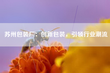苏州包装厂：创新包装，引领行业潮流