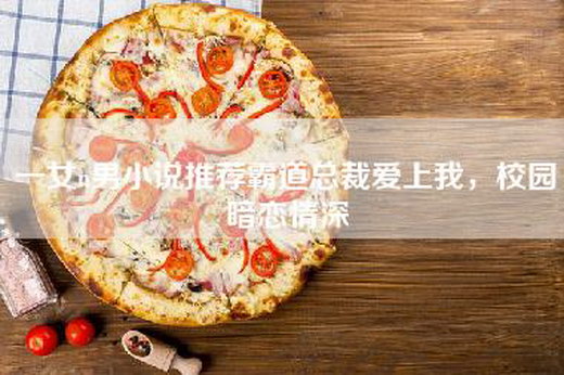 一女n男小说推荐霸道总裁爱上我，校园暗恋情深