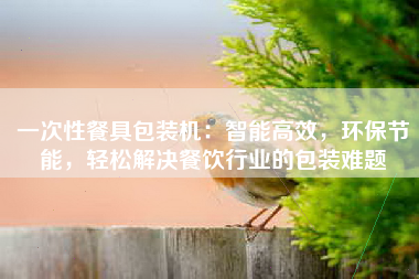 一次性餐具包装机：智能高效，环保节能，轻松解决餐饮行业的包装难题