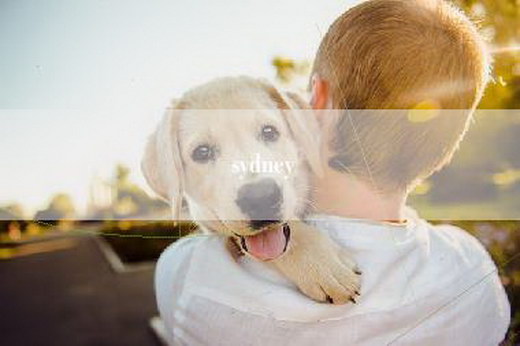 admin