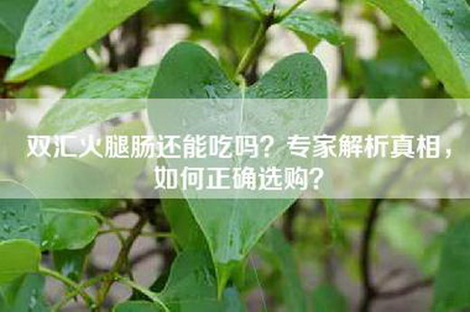 双汇火腿肠还能吃吗？专家解析真相，如何正确选购？