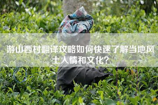 游山西村翻译攻略如何快速了解当地风土人情和文化？