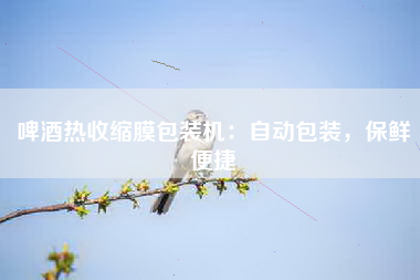 啤酒热收缩膜包装机：自动包装，保鲜便捷