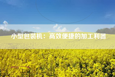 小型包装机：高效便捷的加工利器