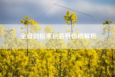 全自动粉末包装机价格解析