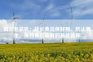 真空包装机：延长食品保鲜期、防止氧化、保持食品新鲜的最佳选择