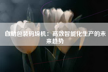 自动包装码垛机：高效智能化生产的未来趋势