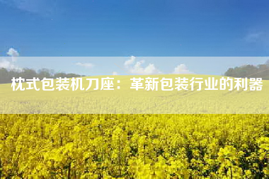 枕式包装机刀座：革新包装行业的利器