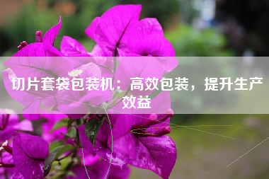 切片套袋包装机：高效包装，提升生产效益