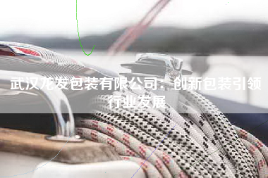 武汉龙发包装有限公司：创新包装引领行业发展