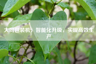 大同包装机：智能化升级，实现高效生产