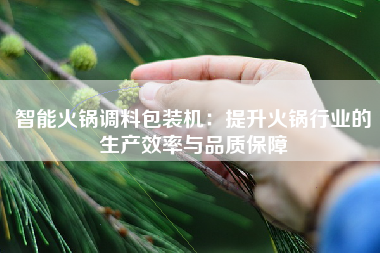 智能火锅调料包装机：提升火锅行业的生产效率与品质保障