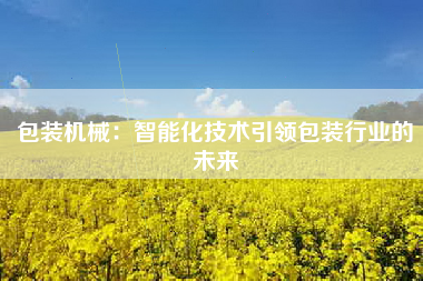 包装机械：智能化技术引领包装行业的未来