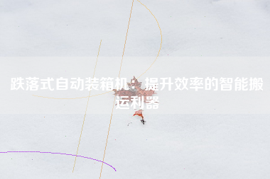 跌落式自动装箱机：提升效率的智能搬运利器