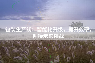 包装生产线：智能化升级，提升效率，迎接未来挑战