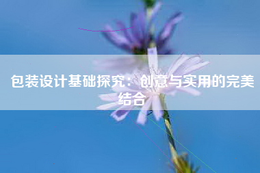 包装设计基础探究：创意与实用的完美结合