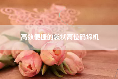 高效便捷的袋状高位码垛机