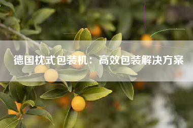 德国枕式包装机：高效包装解决方案