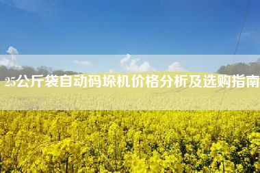 25公斤袋自动码垛机价格分析及选购指南