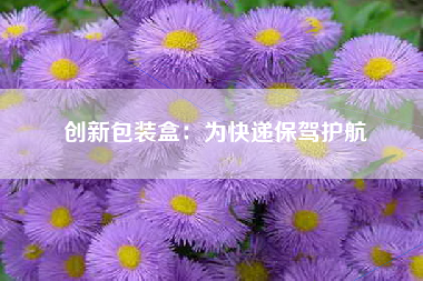 创新包装盒：为快递保驾护航