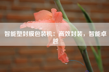 智能塑封膜包装机：高效封装，智能卓越