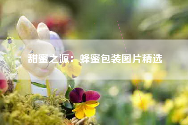 甜蜜之源：蜂蜜包装图片精选