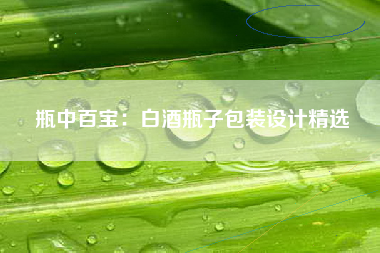 瓶中百宝：白酒瓶子包装设计精选