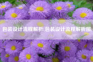 包装设计流程解析(包装设计流程解析图)