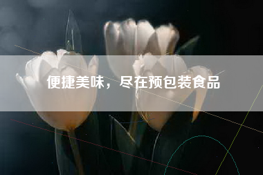 便捷美味，尽在预包装食品
