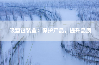 吸塑包装盒：保护产品，提升品质