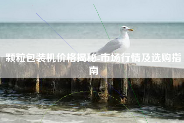 颗粒包装机价格揭秘-市场行情及选购指南